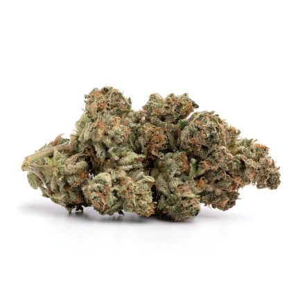 Critical Bilbo | Herb Approach | Online Dispensary  | Buy Weed