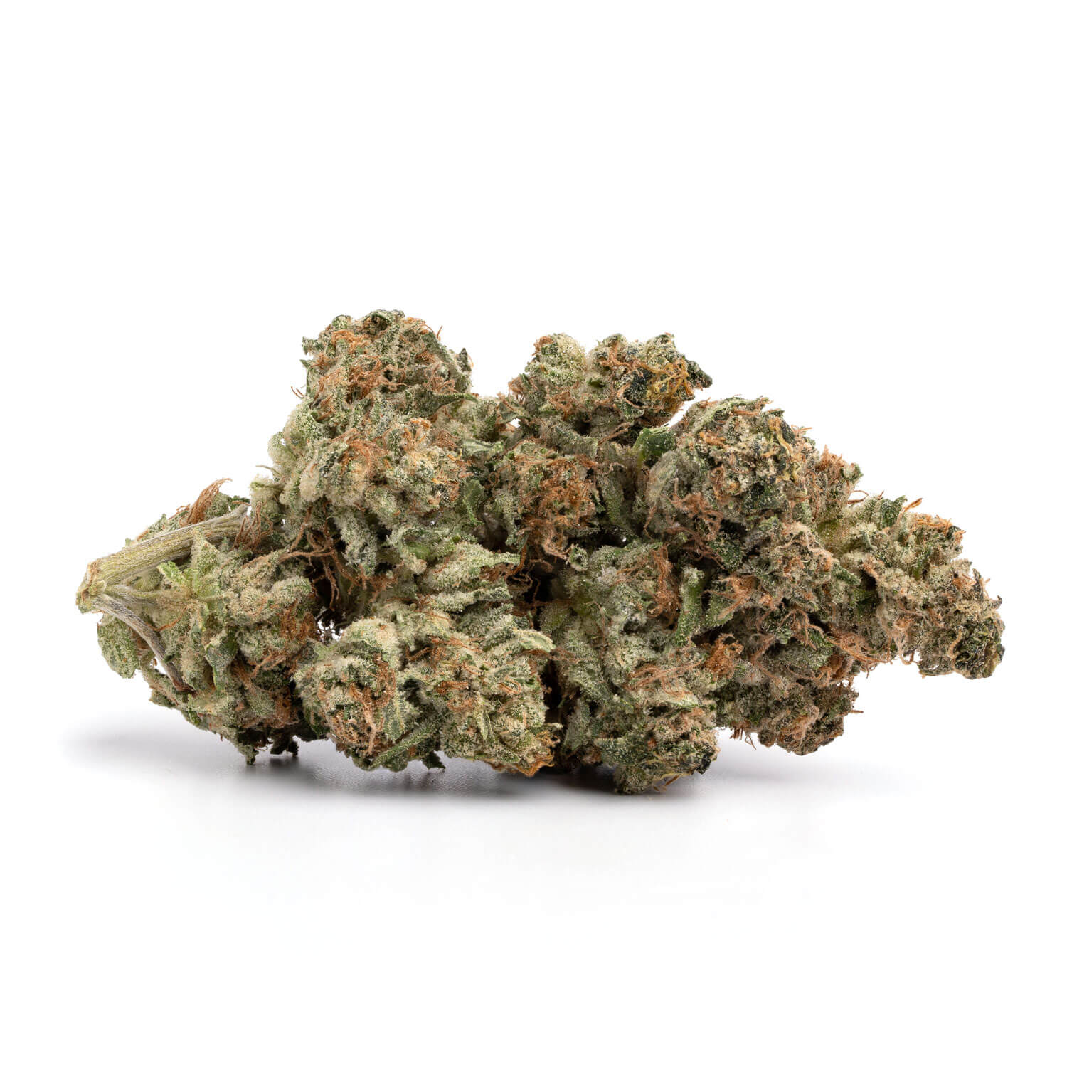 critical-bilbo-herb-approach-online-dispensary-canada-buy-weed-1.jpg