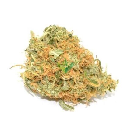 Organic Jack Herer 28g | Buy Weed Online At Herb Approach | Dispensary