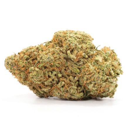 Treasure Island | Herb Approach | Online Dispensary  | Dispensary