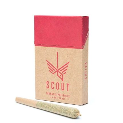 Buy Scout Pre-Roll Pack Online – 0.5g